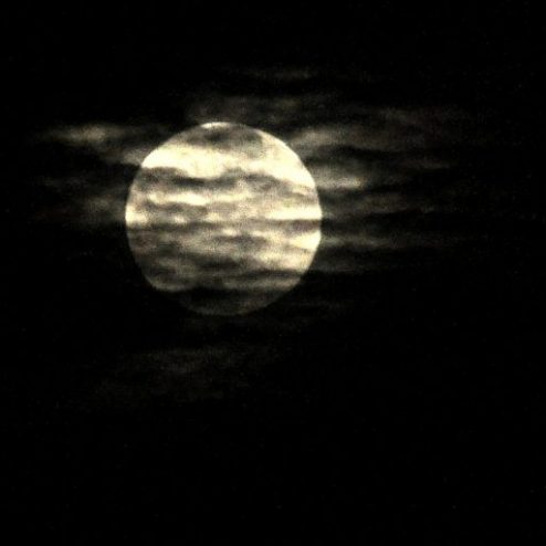 cropped-DSC_0066.jpg